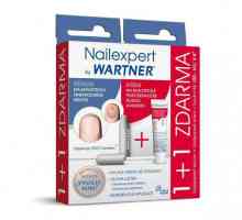 Wartner Nailexpert: recenzije. Antifungals za nokte