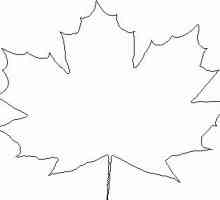 Zašto trebamo konture od Maple Leaf?