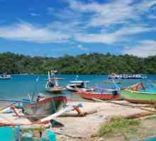 Zagonetka otoku Java: zanimljiva i korisne informacije za turiste