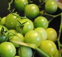Zelenih rajčica pod najlonskim pokrovom - kuhanje recepti