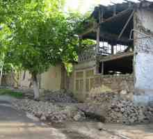Potres u Uzbekistanu: pregled, značajke, povijest i zanimljivosti