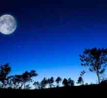 Zemljina noći - to je nevjerojatna pojava, odobrena čovječanstvo