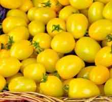 Žuta rajčica za zimu: recepti