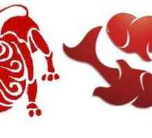 Ženski lav i muškarac riba: kompatibilnost parova