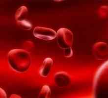 Znate li što je krvna grupa odgovara svima?
