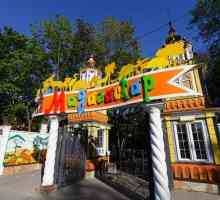 Zoo "Madagaskar" (N. Novgorod): obilježja i stanovnici