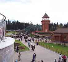 Zoo Iževsk: fotografije, raspored, recenzije