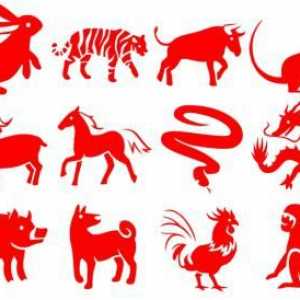 1971 - Godina životinje na istočnoj kalendaru? Karakteristike 1971 znakova