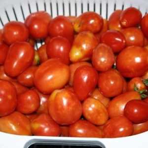 Znate li kako se marinirati rajčice u banci?
