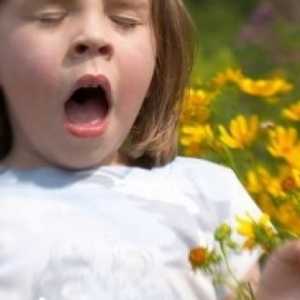 Alergije kod djece i njegove glavne manifestacije