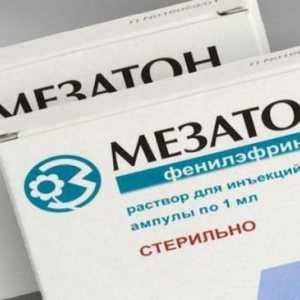 „Analoga mezaton” u Rusiji: Popis, opis i upute za uporabu