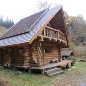Sauna drvo: posebno izgradnja