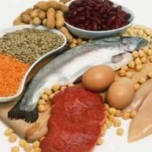 Proteinske hrane - to je ono kategorija proizvoda? Njegove prednosti i štete