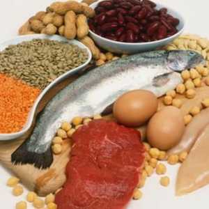 Proteini hrana - je zdravlje