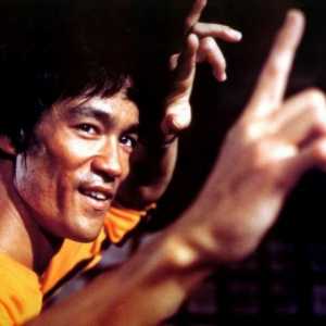 Biografija Bruce Lee - najbriljantniji majstor kung-fu xx stoljeću