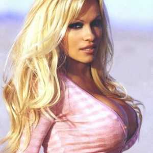 Biografija: Pamela Anderson - seks diva ili vjerna žena?