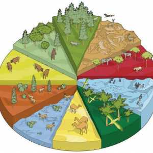 Biološka raznolikost. Koji uključuje klima-tlo stanište?