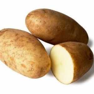 „Breeze” - krumpir visok prinos s odličnim ukusom
