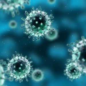 Opasna enterovirus infekcija u odraslih?