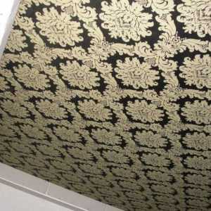 Što je tako dobro tkanina spušteni strop?