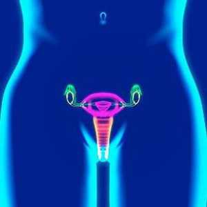 Ogrebeni klitoris: uzroci, liječenje i prevenciju bolesti