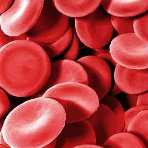 Što povećava hemoglobin u krvi: i lijekove Narodne