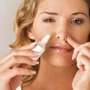 Što se događa u zraku u nosnoj šupljini? anatomija nosa