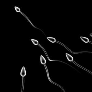 Što je spermij i kako se to radi?