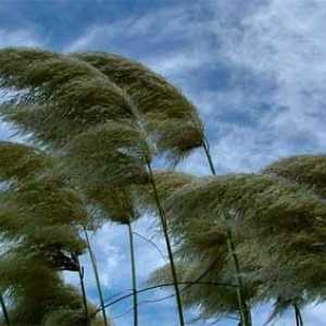Što je vjetar i kako se formira