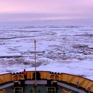 Čukotsko more - bivši Beringia