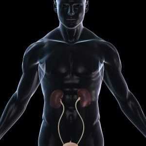 Cistitis u muškaraca: uzroci, simptomi i tretman metode