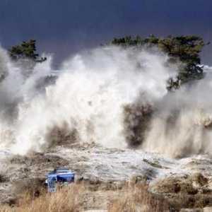 Tsunami u Japanu: uzroci, posljedice i žrtve