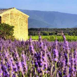 Rustikalni stil u slikama Provence i francuskoj državi