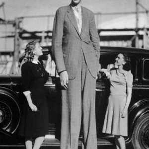 „Dobro Giant”, „Ukrajinski Gulliver” i najviši čovjek na…