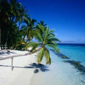 Dominikanska Republika: Glavni grad Santo Domingo, najbolje plaže i izlete u Punta Cana. Kako…