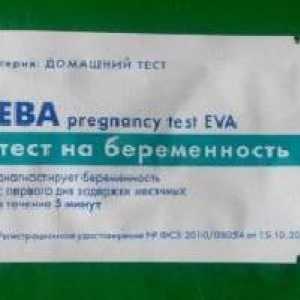 „Eva” - test na trudnoću: mišljenja, primjena značajke, cijene