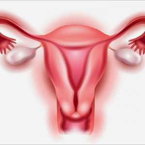 Jajnika fibrom: simptomi, uzroci, liječenje