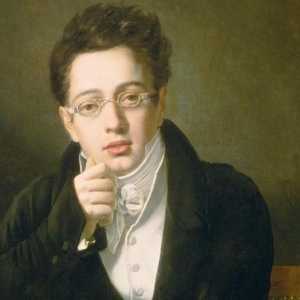 Franz Schubert: biografiju klasične glazbene umjetnosti