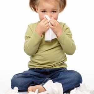 Sinusitis kod djeteta: što je to. Uzroci, liječenje