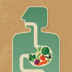 Gdje hranjive tvari ulaze u krvotok u ljudi?