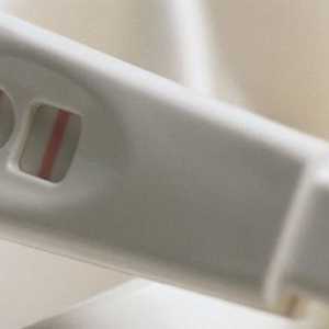 Genetske analize u planiranju trudnoće: opis, karakteristike i preporuke