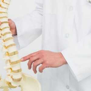Gimnastika u osteochondrosis vratne-torakalne kralježnice: fotografija, recenzije