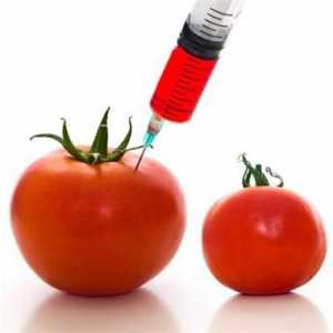 GMO: dekodiranje i opasnost