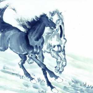 Godina konja: karakterističan za sve znakove istočnom horoskopu