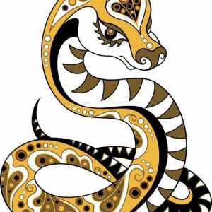 Godina zmije: karakteristične značajke
