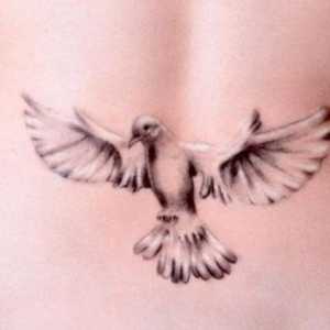 Dove - tetovaža, od kojih je značenje je vrijedno znati
