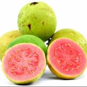 Guava - egzotično voće, i vrlo korisno