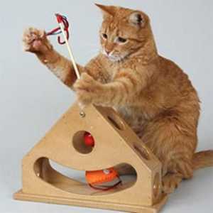 Igračke za mačke na internetu - zabava za kućne ljubimce