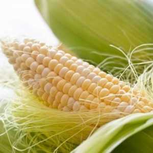 Zanimljivo pitanje je: koliko kalorija u kukuruzu?