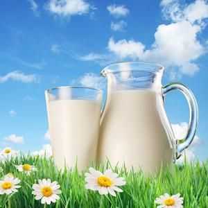 Ono što čini mlijeko? Kako napraviti mlijeko?